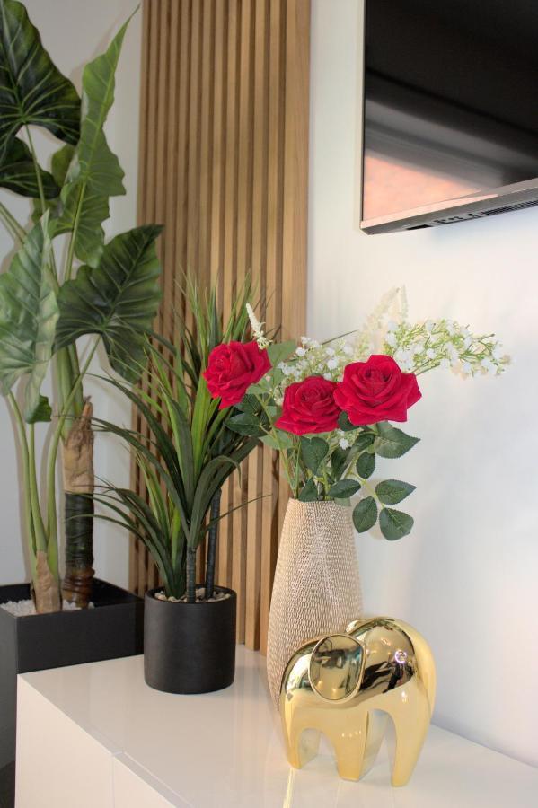 L'Escale Tropicale, Appartement Independant Avec Terrasse Privative Saint-Quentin  Eksteriør billede