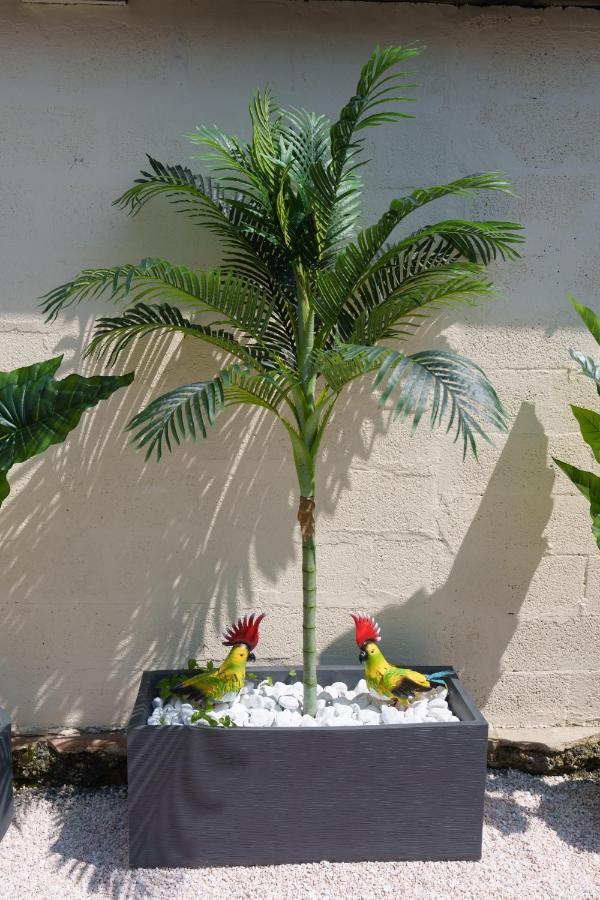 L'Escale Tropicale, Appartement Independant Avec Terrasse Privative Saint-Quentin  Eksteriør billede
